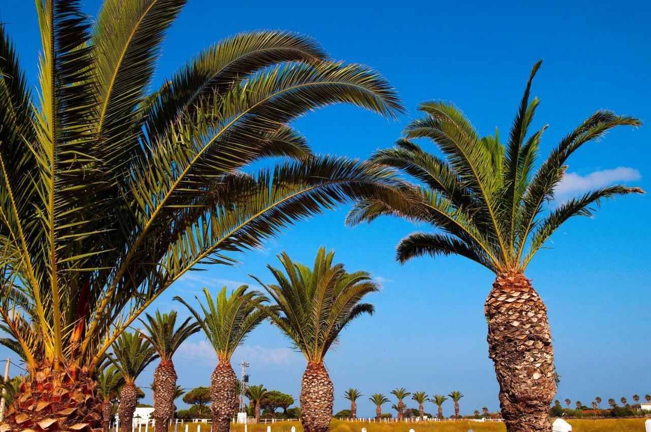 Gasthaus Casara Seis O Casara Siete - Tu Casa A 100M De La Playa De Zahora Exterior foto