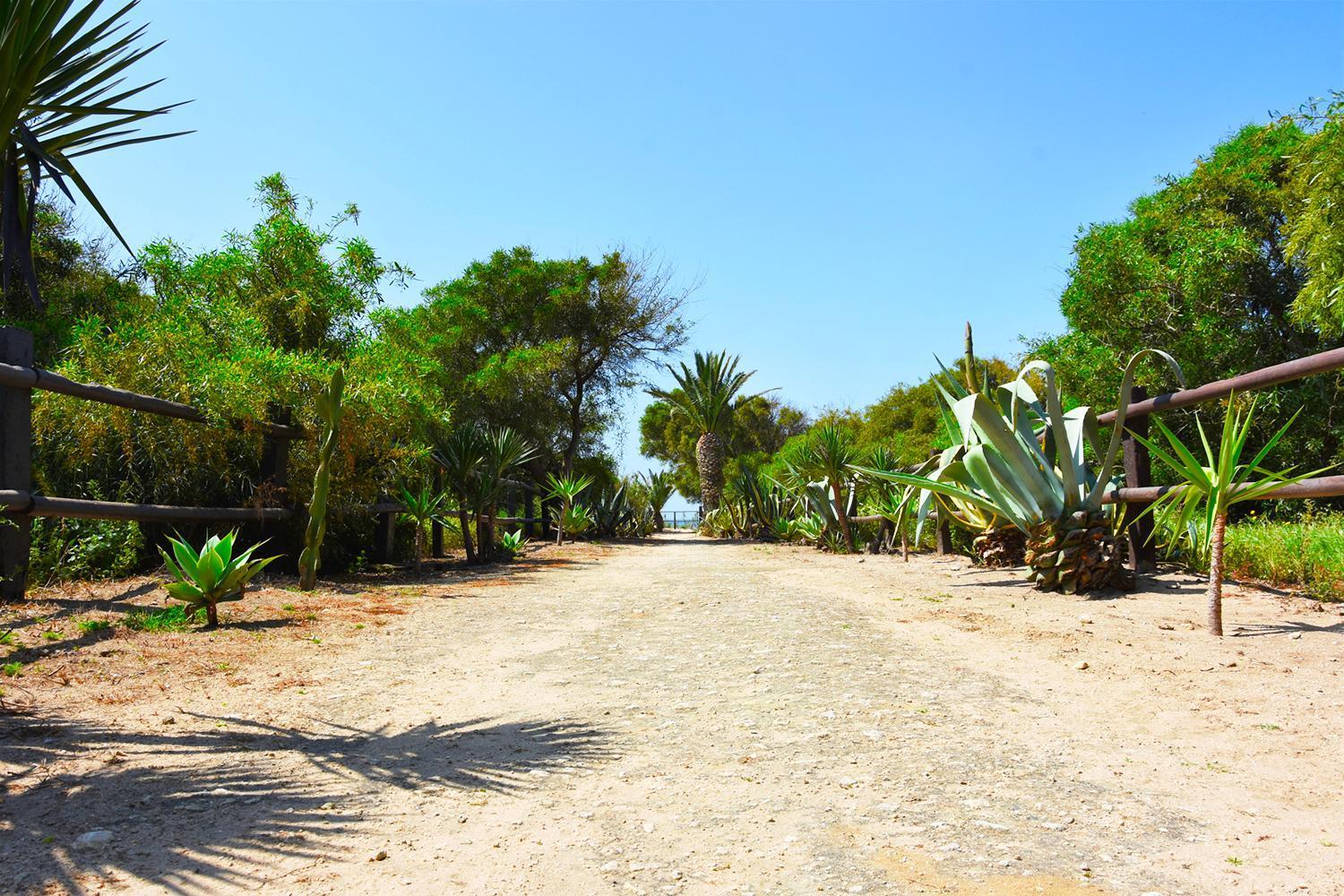 Gasthaus Casara Seis O Casara Siete - Tu Casa A 100M De La Playa De Zahora Exterior foto