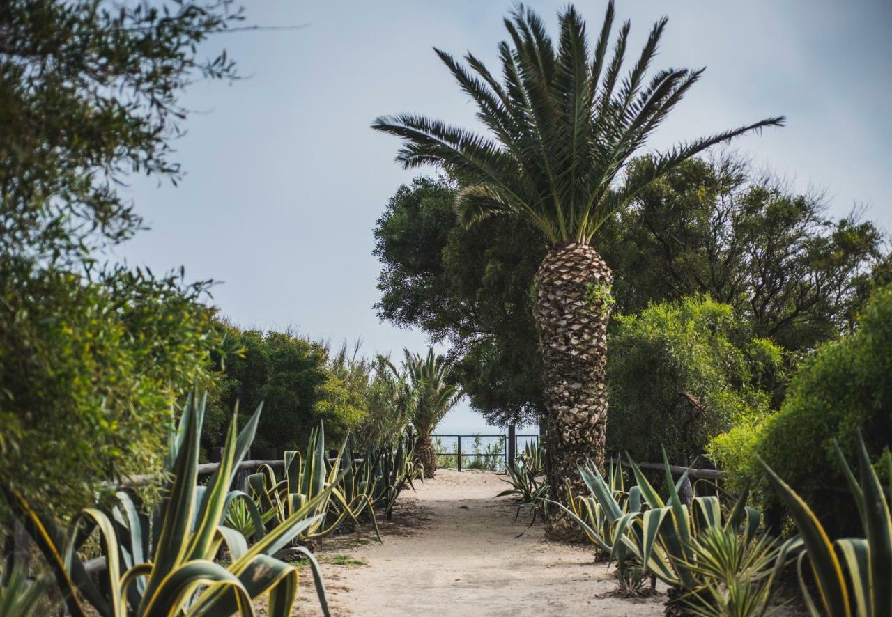 Gasthaus Casara Seis O Casara Siete - Tu Casa A 100M De La Playa De Zahora Exterior foto