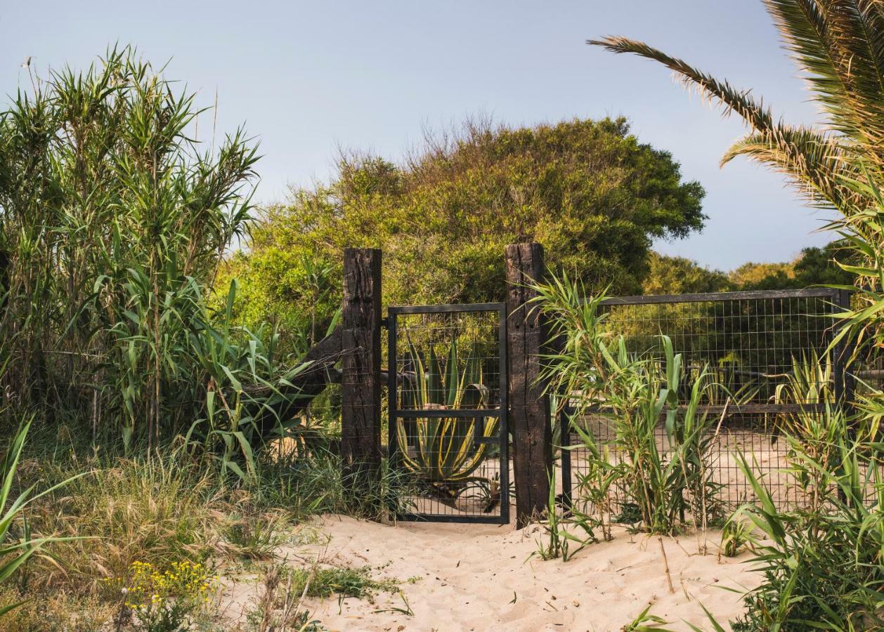 Gasthaus Casara Seis O Casara Siete - Tu Casa A 100M De La Playa De Zahora Exterior foto