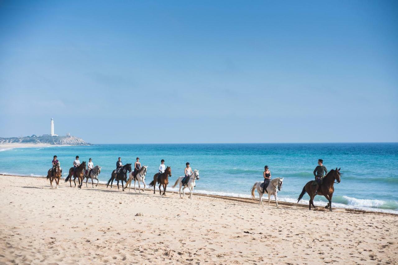 Gasthaus Casara Seis O Casara Siete - Tu Casa A 100M De La Playa De Zahora Exterior foto